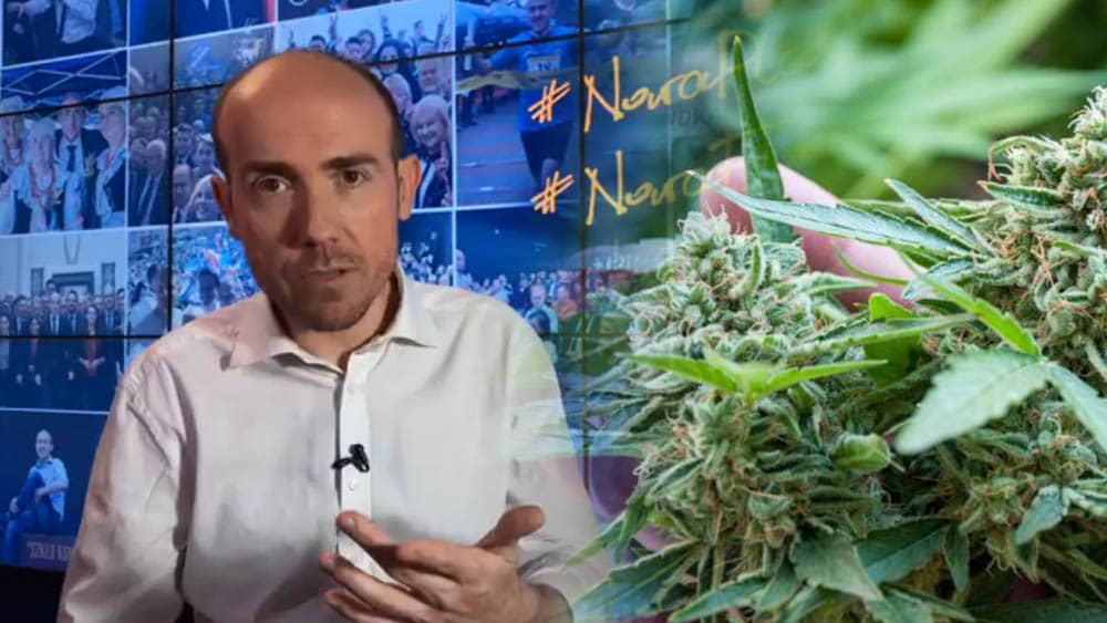 Borys Budka o legalizacji marihuany - jestem za referendum