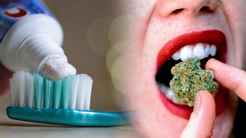 Konopie lepiej usuwają kolonie bakterii na płytce nazębnej, niż popularne pasty do zębów