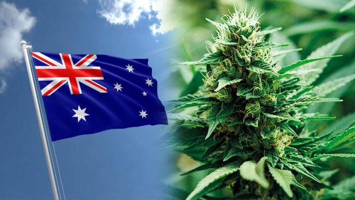 W stolicy Australii marihuana jest już legalna