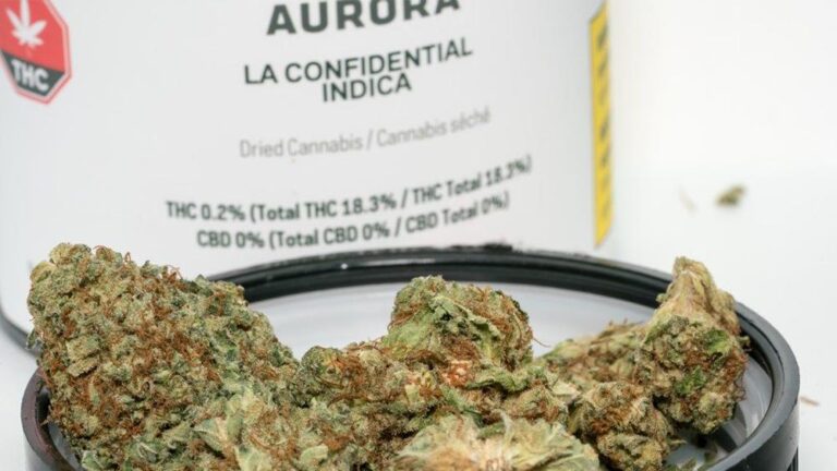 6 kilogramów medycznej marihuany od Aurora Cannabis trafiło do aptek