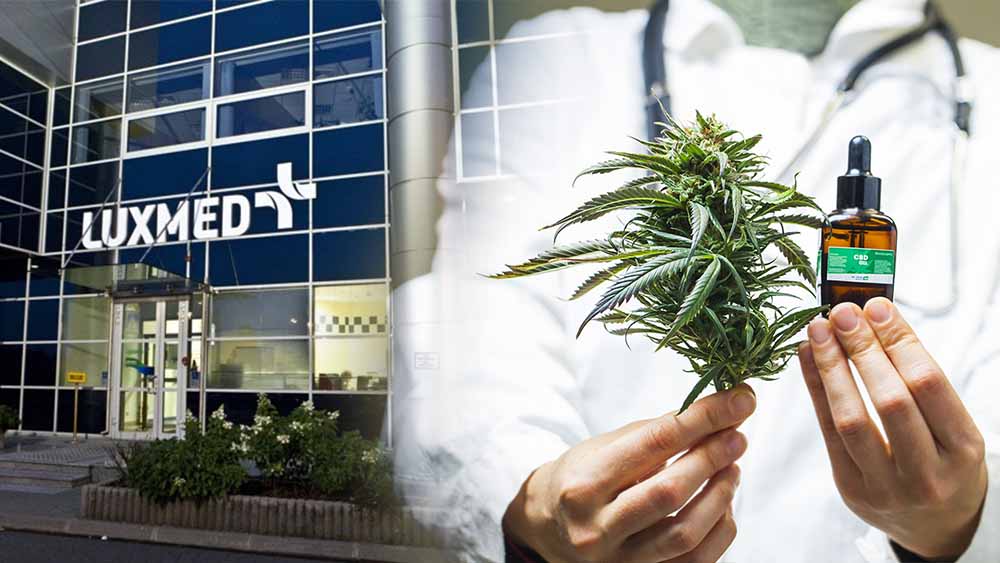 Lux Med otwiera placówkę leczenia marihuaną medyczną