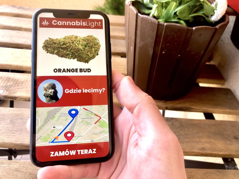 GOLOMB CANNABIS DELIVERY