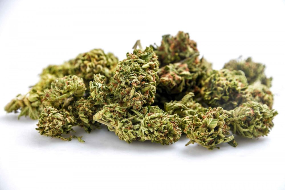 Projekt legalizacji marihuany w RPA