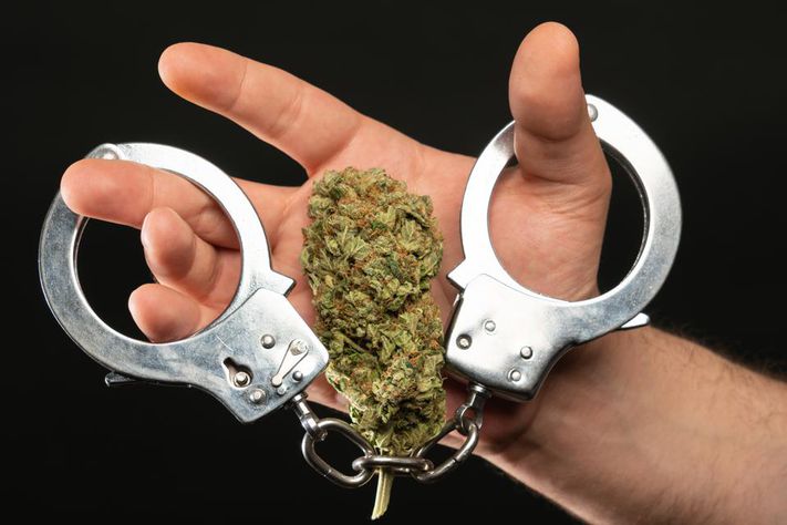 Łapówka za medyczną marihuanę - CBA zatrzymało dwóch mężczyzn
