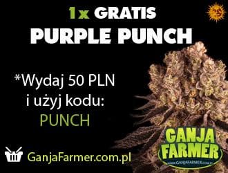baner purple punch mobi fakty