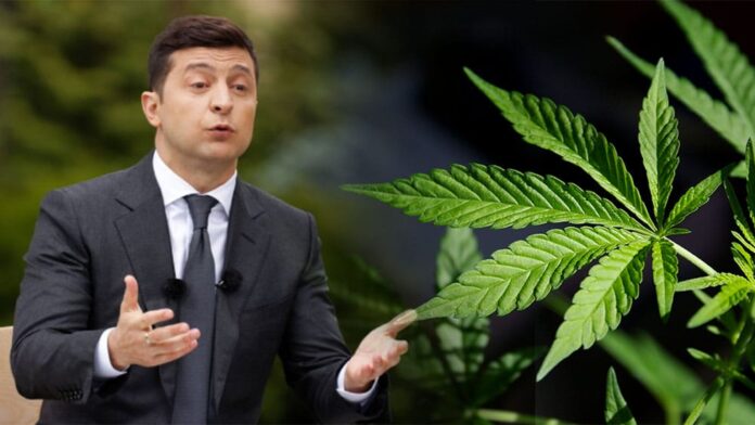 Czy ukraina zalegalizuje medyczną marihuanę?