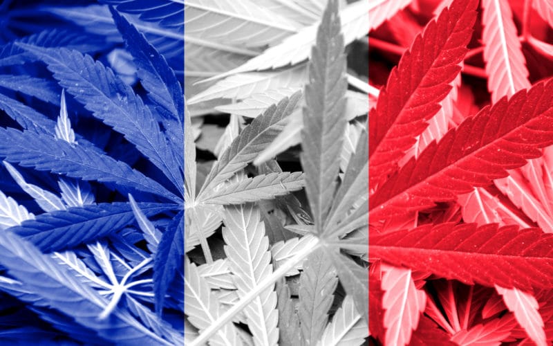 Medyczna marihuana we Francji będzie refundowana od 2021 roku