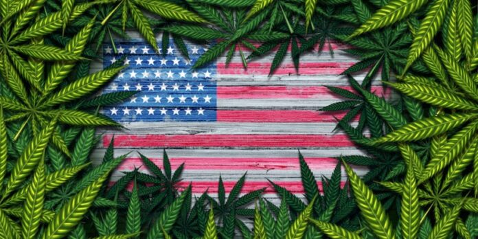 Arizona, montana, new jersey i południowa dakota zalegalizuja marihuane