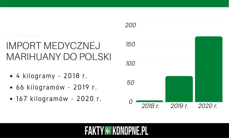 import medycznej marihuany do polski statystyki