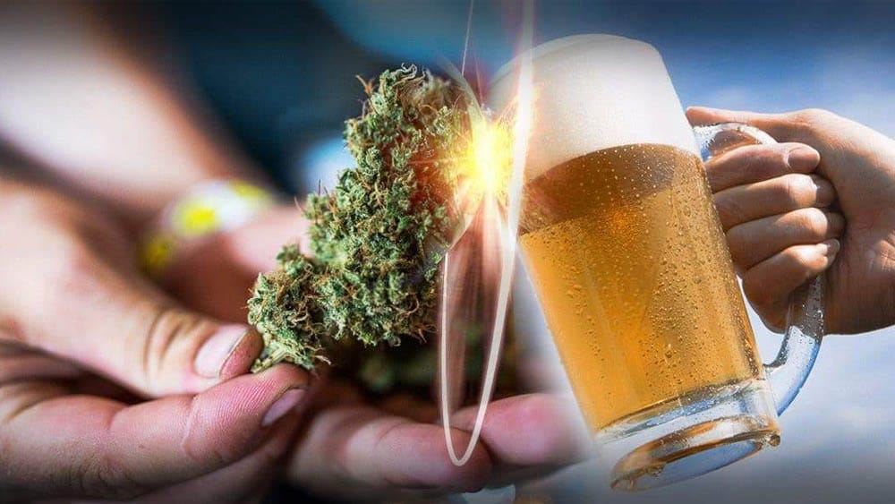 Marihuana vs alkoholizm - używanie konopi indyjskich związane z ograniczeniem spożycia alkoholu