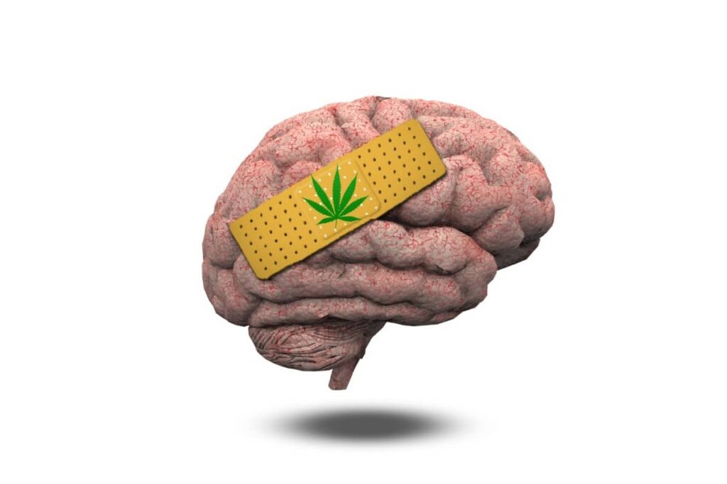 wpływ marihuany na mózg i zdrowie psychiczne