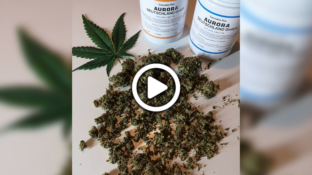 Jak wygląda medyczna marihuana z apteki? Czy jest warta 60zł za gram?