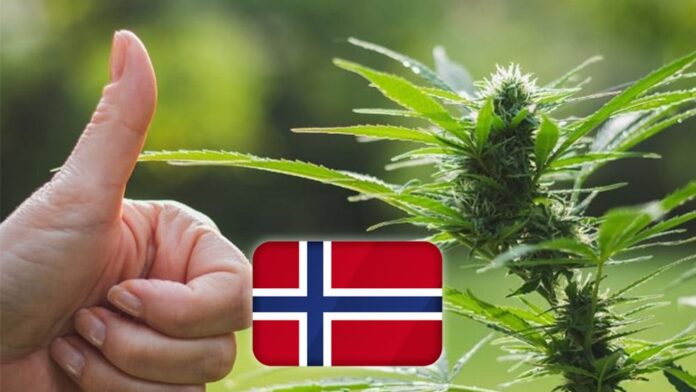 Norwegia dekryminalizuje marihuanę i narkotyki. Posiadanie niewielkich ilości nie będzie już karane więzieniem