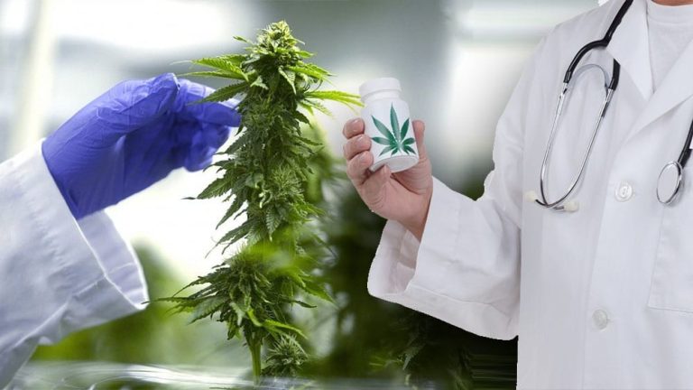 Medyczna marihuana w „Pakiecie Ustaw Konopnych”