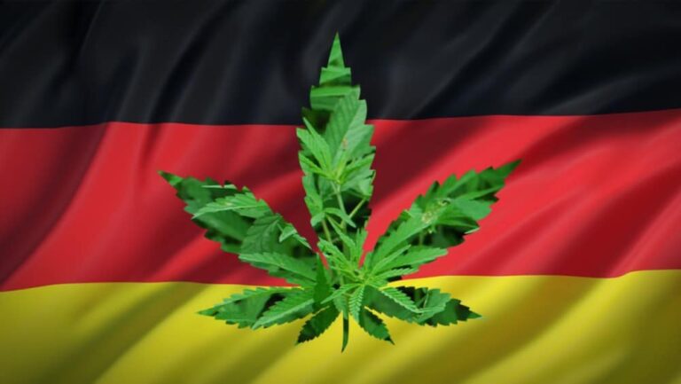 Pierwszy etap legalizacji marihuany w Niemczech: Projekt ustawy przedstawiony rządowi