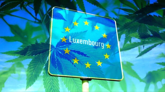 Plan legalizacji marihuany w Luksemburgu