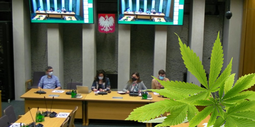 Posiedzenie Parlamentarnego Zespołu ds Legalizacji Marihuany