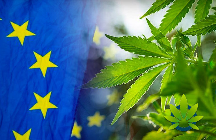 Europa popiera legalizacje marihuany
