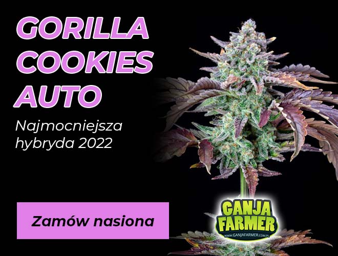 nasiona marihuany GanjaFarmer.com.pl