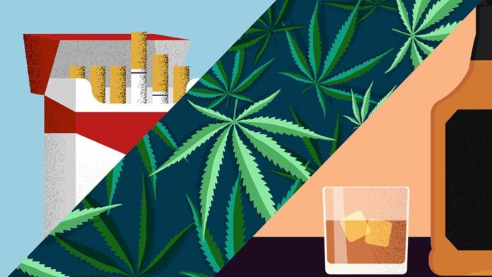 Legalizacja marihuany zmniejsza spożycie alkoholu, tytoniu i opioidów