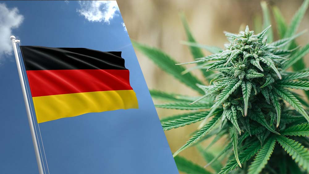 Niemcy rozpoczną sprzedaż marihuany rekreacyjnej w 2024 roku