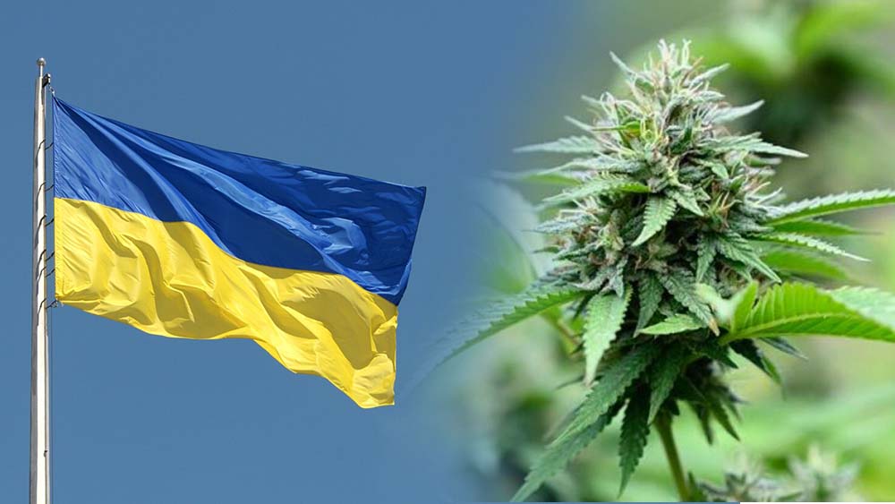 Ukraina legalizuje medyczną marihuanę
