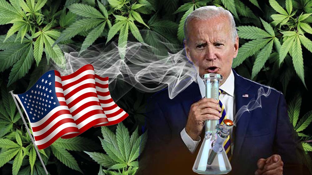 Joe Biden - "Nikt nie powinien siedzieć w więzieniu za marihuanę"