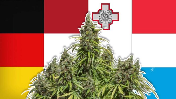 Niemcy, Holandia, Luksemburg i Malta debatują nad legalizacją marihuany