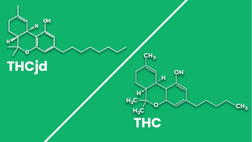 THCjd vs. THC - porównanie wzoru chemicznego obu kannabinoidów