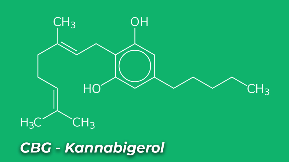 CBG - Kannabigerol