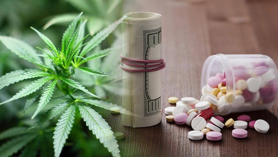 Legalizacja marihuany przynosi miliardowe straty dla koncernów farmaceutycznych