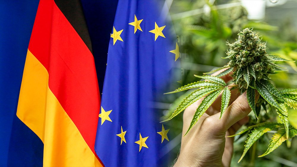 Unia Europejska utrudnia legalizacje marihuany w Niemczech