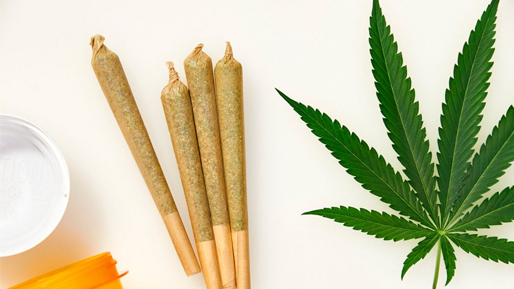 Konsumenci pozywają markę marihuany za niskie stężenie THC