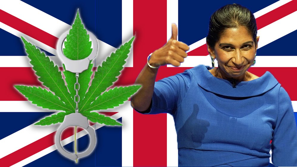 Wielka Brytania - bardziej rygorystyczna klasyfikacja marihuany