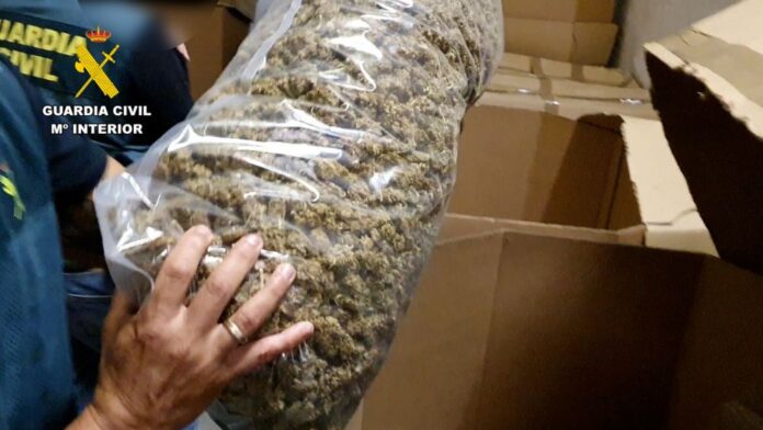 Hiszpańska policja przejęła 32 tony marihuany