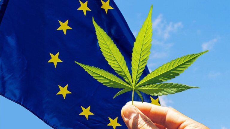 Legalizacja marihuany w Europie – na jakim etapie jesteśmy?