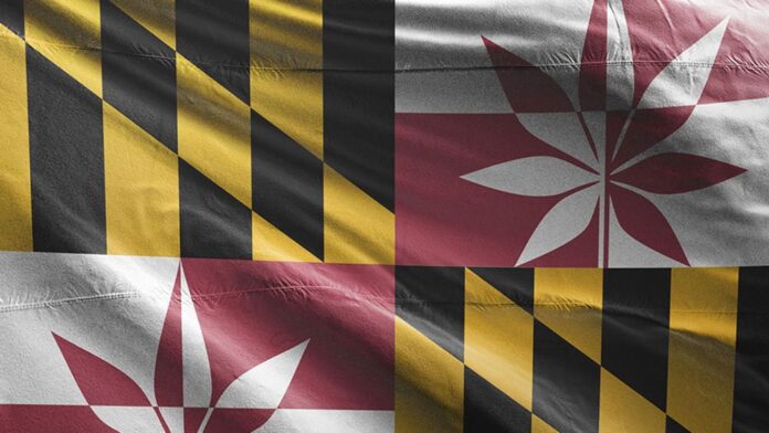 Maryland legalizuje marihuanę dla dorosłych