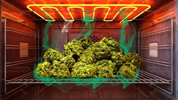 Snoop Dogg - marihuana w mikrofalówce