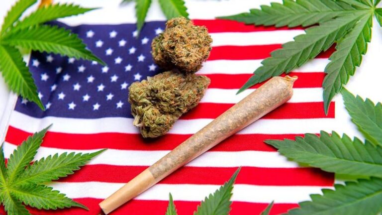 Czy Stany Zjednoczone zalegalizują marihuanę na szczeblu federalnym? Senator przedstawił projekt ustawy