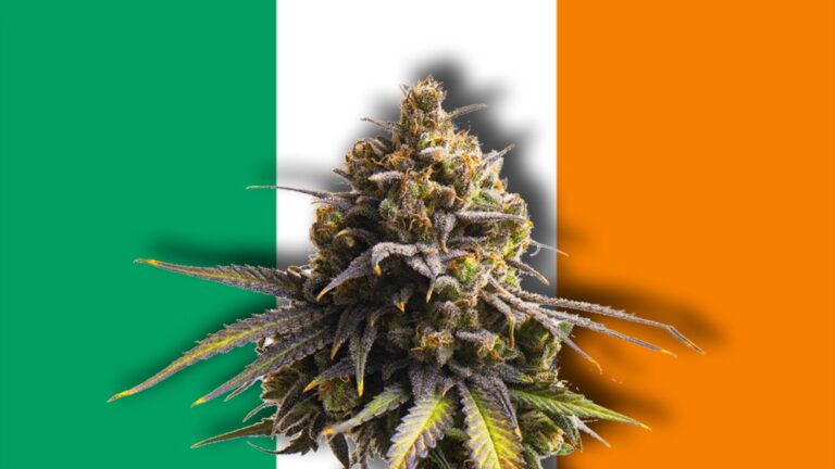 Irlandia planuje dekryminalizację posiadania i używania marihuany