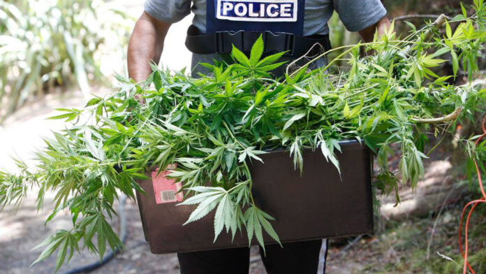 Policja w Wielkiej Brytanii wzywa do dekryminalizacji narkotyków