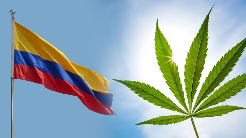 Senat Kolumbii za legalizacją marihuany