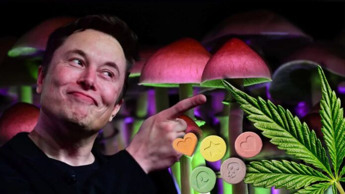 Elon Musk - zakaz marihuany i narkotyków jest głupi