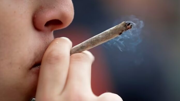 Palenie marihuany i wpływ na czynności płuc