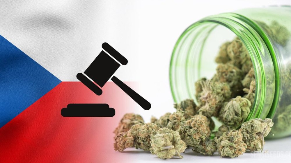 Ustawa o legalizacji marihuany w Czechach