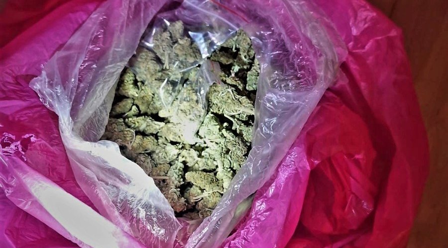 Marihuana znaleziona u Dilera z Gdyni
