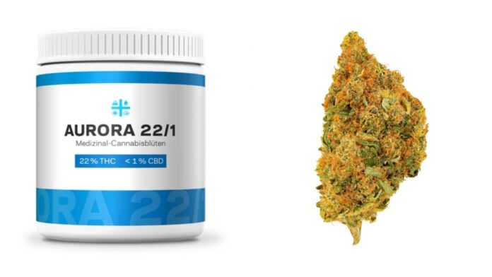 Delahaze od Aurora Cannabis - Nowa odmiana medycznej marihuany