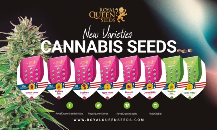 Nowe odmiany nasion marihuany od Royal Queen Seeds