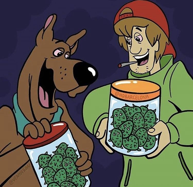 Scooby i Shaggy z marihuaną