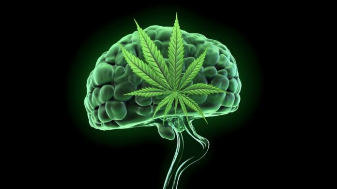 Marihuana vs Glejak mózgu